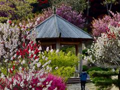 -石岛赤山风景区
