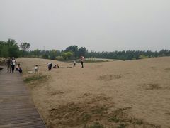 -东郊湿地公园