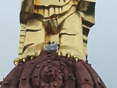 -大金鹰园