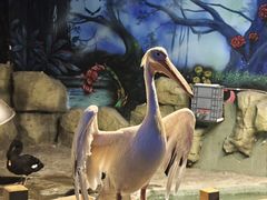 -绿色星球动物主题公园