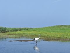 -黑龙江扎龙生态旅游区