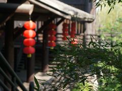 -大唐贡茶院