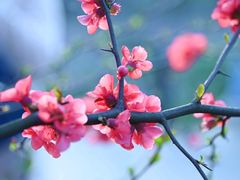 -苏州上方山国家森林公园