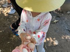 -新地休闲农场