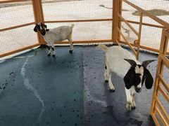 -威海华夏城景区