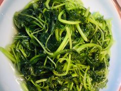 -席家花园(巨鹿花园店)