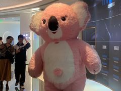 -星河寰宇IMAX影城(星河WORLD·COCO Park店)