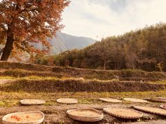 -塔川景区