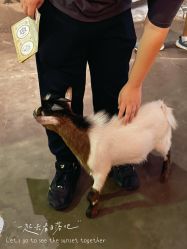 -Zoolung Zoolung动物主题公园(海信广场店)