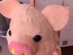 -PAWTOY爪e玩偶店(天兴罗斯福店)