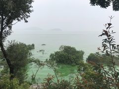 -上海市保健医疗中心