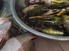 -庆岭迎宾园正宗活鱼馆