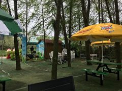 -上海海湾国家森林公园