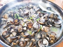 蒸沙蚬-大赤坎肥仔强烧味海鲜餐厅(大赤坎店)