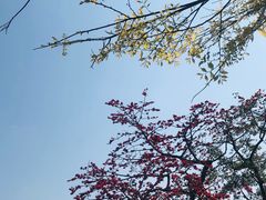 -广州莲花山旅游区