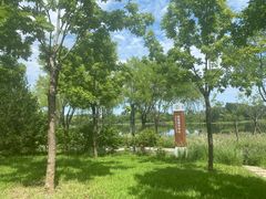 -东郊湿地公园