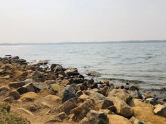-丁香湖公园