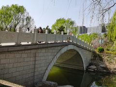 -大兴滨河森林公园