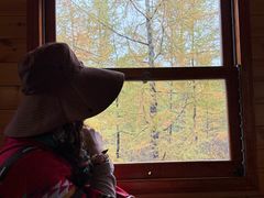 -莫尔道嘎国家森林公园