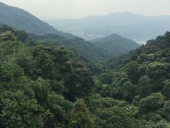 -广州市帽峰山景区