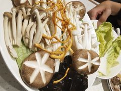 菌菇拼盘-九府羊·鲜羊火锅·烤串(新华路店)