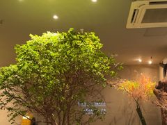 -森SPA·泰式按摩·精油Massage(宝安中心店)