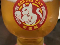 -Boxing Cat Brewery拳击猫精酿啤酒馆(永福店)