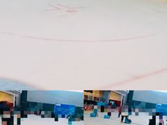 -冰纷万象滑冰场(二七万象城店)