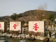 -香雪海