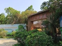 -天下先生态园农庄CS团建露营地(海鸥岛店)