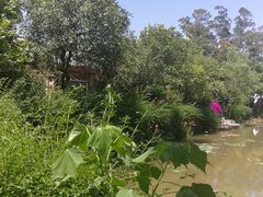 -三圣花乡旅游区