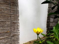 -慢丽江·云南野生菌土鸡锅(西山店)