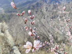 -龙泉峪长城