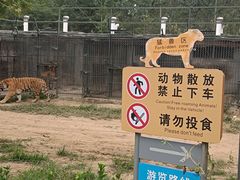 -秦皇岛野生动物园