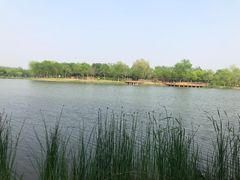 -东郊湿地公园