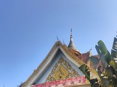 -西双版纳傣族园