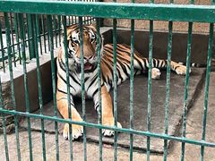 -揭东万竹园旅游景区