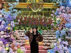 -南宁市凤岭儿童公园