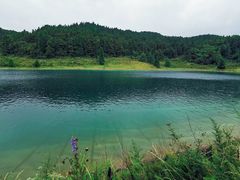 -武陵山森林公园