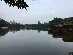 -三水森林公园