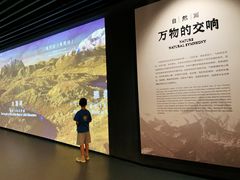 -四川大学博物馆