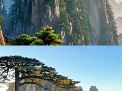 -黄山风景区