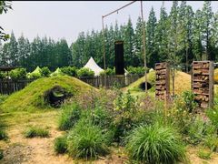 -前小桔亲子创意农场·草莓采摘·露营烧烤