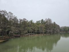 -东湖落雁景区