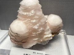 -湖南省地质博物馆