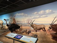 -陕西自然博物馆