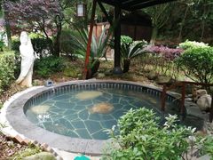 -明月山天沐温泉度假村