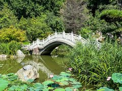 -河南省黄河迎宾馆