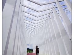 -风云岭森林公园