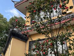 -狼山风景名胜区